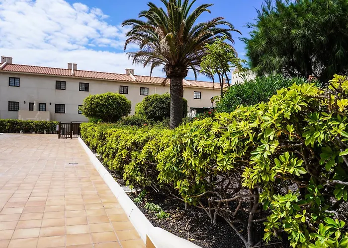 Bright House With Working Space El Medano (Tenerife)