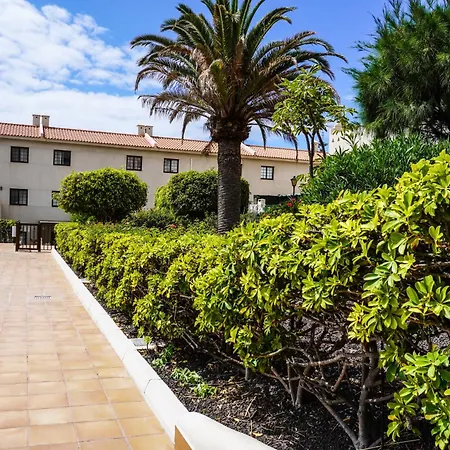 Bright House With Working Space El Medano (Tenerife)