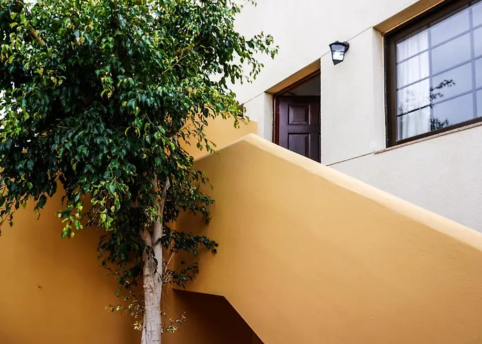 Bright House With Working Space *